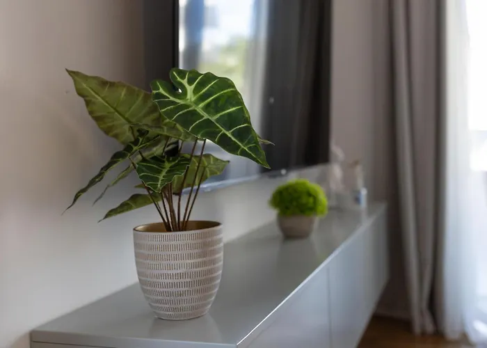 Lux Podstrana